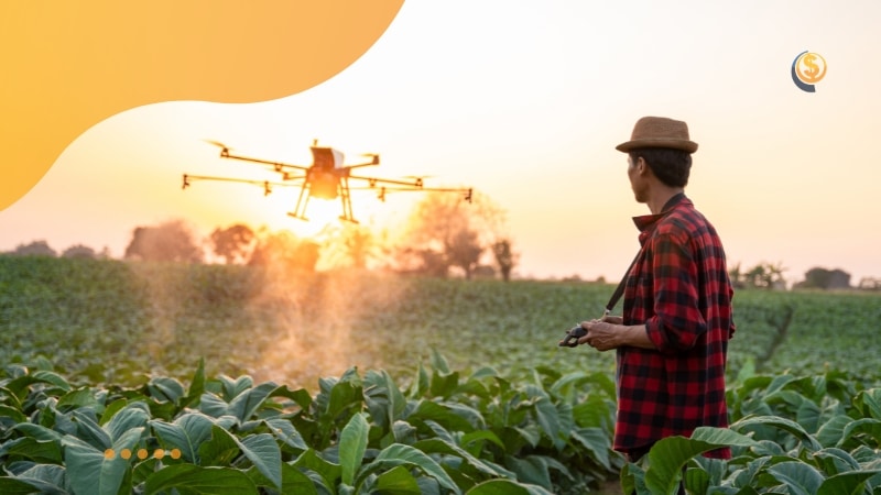Como o Empreendedorismo no Agronegócio Impulsiona a Inovação no Campo Como o Empreendedorismo no Agronegócio Impulsiona a Inovação no Campo